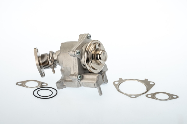 Zawór EGR BORGWARNER (WAHLER) 7631D/1