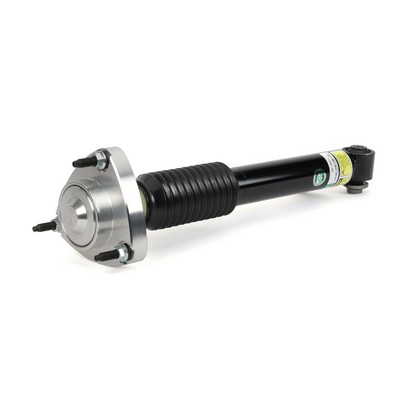 Amortyzator ARNOTT SK-3607