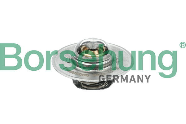 Termostat BORSEHUNG B18280
