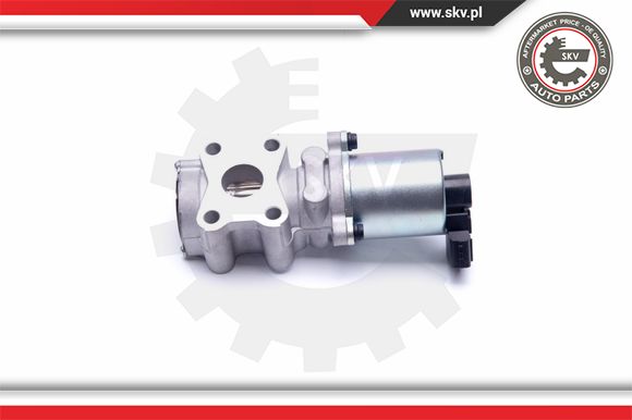 Zawór EGR ESEN SKV 14SKV200