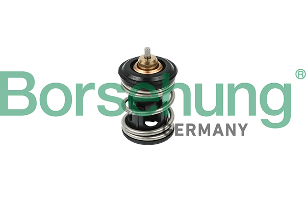 Termostat BORSEHUNG B18261