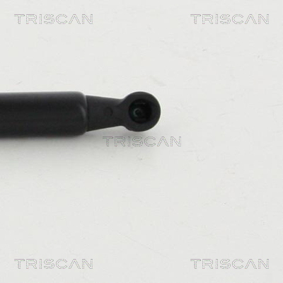 Sprężyna gazowa TRISCAN 8710 292019