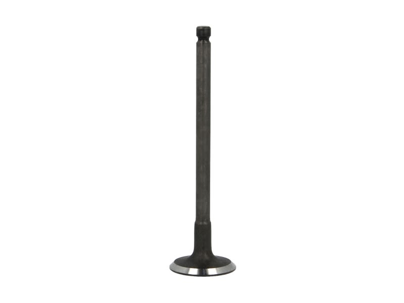 Zawór ssący FRECCIA R6250/SNT