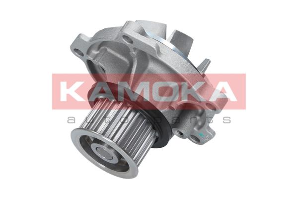 Pompa wody KAMOKA T0077