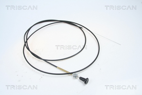 Oś przepustnicy, gaźnik TRISCAN 8140 91004