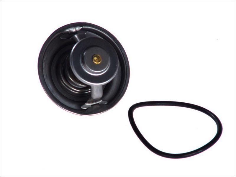 Termostat TOPRAN 500 542