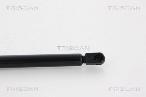 Sprężyna gazowa TRISCAN 8710 66207