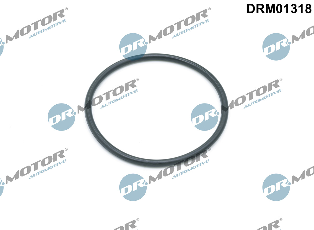 Uszczelka obudowy filtra oleju DR.MOTOR AUTOMOTIVE DRM01318