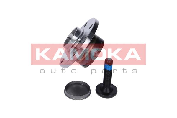 Zestaw łożysk koła KAMOKA 5500128