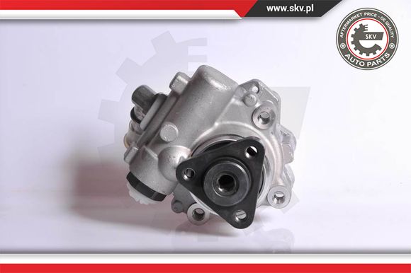Pompa wspomagania ESEN SKV 10SKV167
