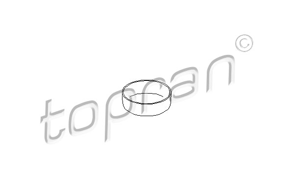 Zaślepka bloku silnika TOPRAN 722 668