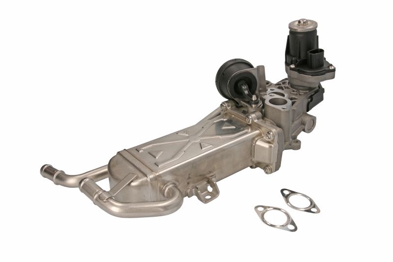Zawór EGR MAGNETI MARELLI 571822112070