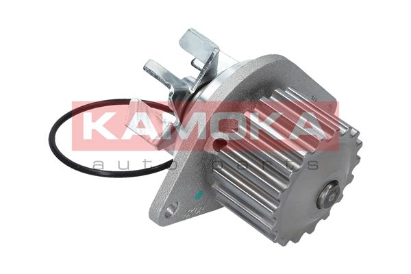 Pompa wody KAMOKA T0089