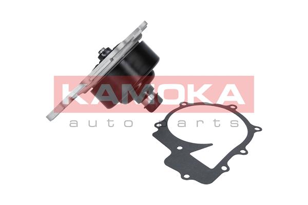 Pompa wody KAMOKA T0200