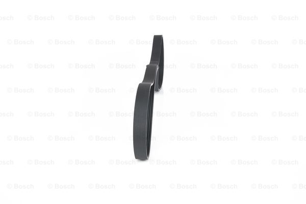 Pasek klinowy wielorowkowy BOSCH 1 987 946 000