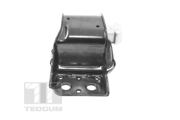 Poduszka silnika TEDGUM TED42243