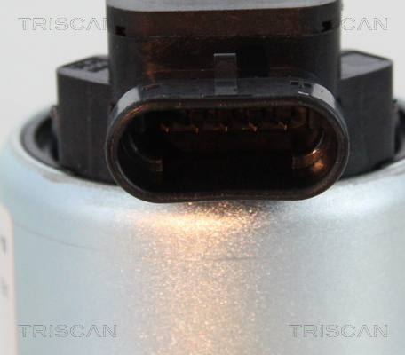 Zawór EGR TRISCAN 8813 28008