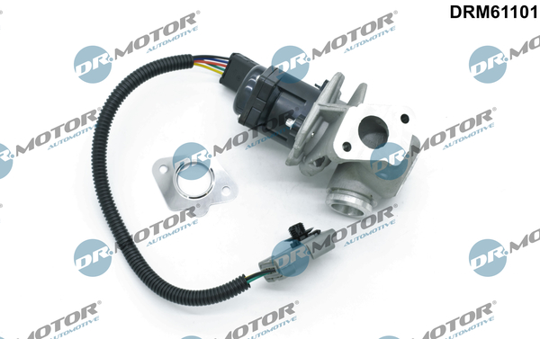 Zawór EGR DR.MOTOR AUTOMOTIVE DRM61101