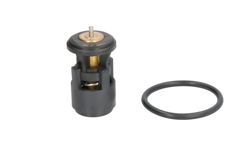Termostat THERMOTEC D2A005TT