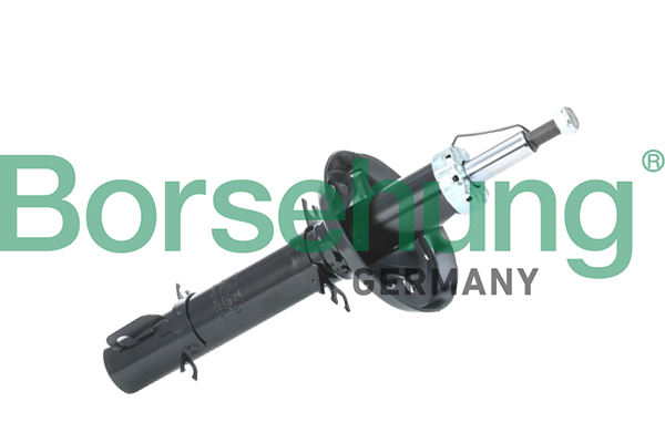 Amortyzator BORSEHUNG B18687