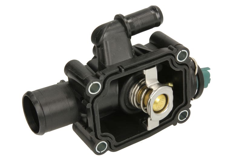 Termostat THERMOTEC D2C006TT