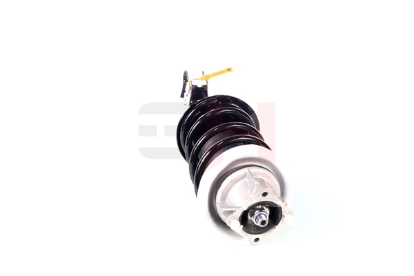 Amortyzator teleskopowy GH GH-353369C01