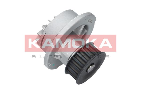 Pompa wody KAMOKA T0108
