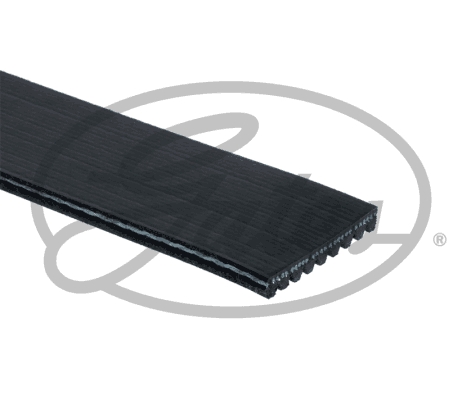 Pasek klinowy wielorowkowy GATES 9PK2250HD