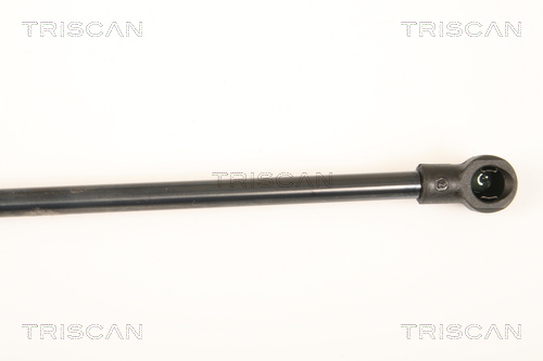 Sprężyna gazowa TRISCAN 8710 25245