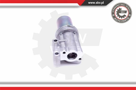 Zawór EGR ESEN SKV 14SKV211