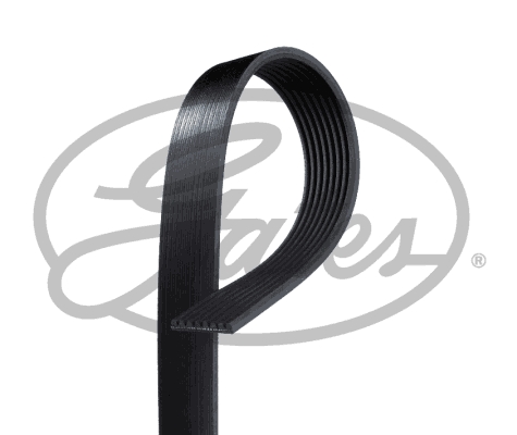 Pasek klinowy wielorowkowy GATES 8PK1885HD