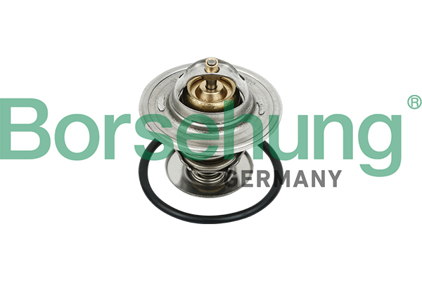 Termostat BORSEHUNG B18231