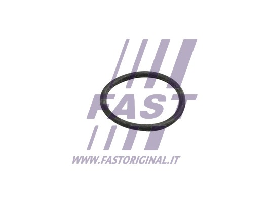 Uszczelka, rurka płynu chłodzącego FAST FT49918