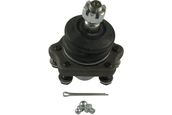Sworzeń wahacza KAVO PARTS SBJ-6515