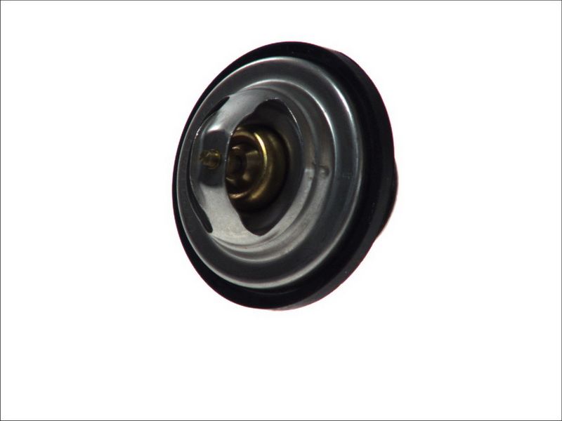 Termostat TOPRAN 500 542