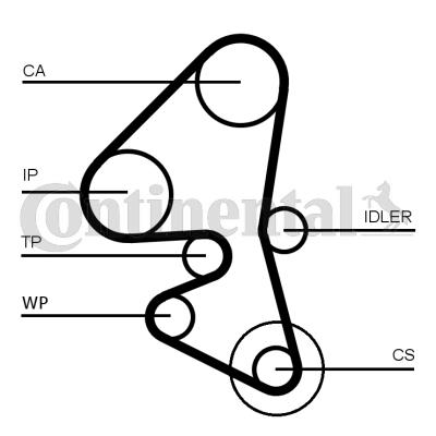 Pasek rozrządu CONTITECH CT1162