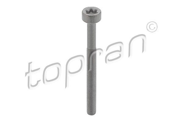 Śruba, wtryskiwacz TOPRAN 410 287