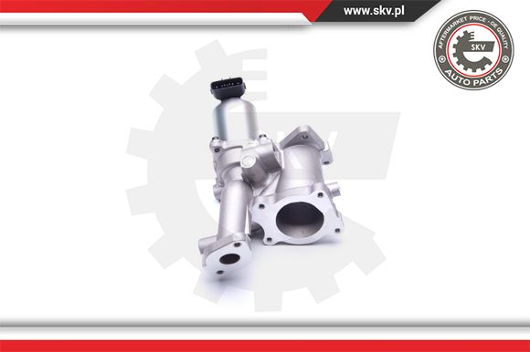 Zawór EGR ESEN SKV 14SKV167