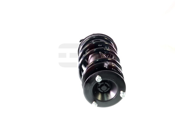 Amortyzator teleskopowy GH GH-351593C02
