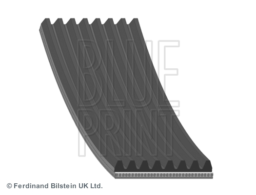 Pasek klinowy wielorowkowy BLUE PRINT AD08R1310