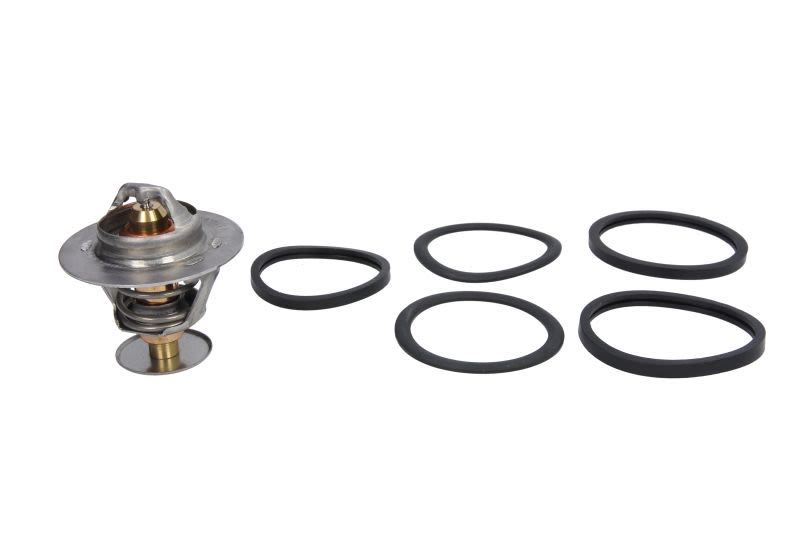 Termostat CALORSTAT BY VERNET TH1538.88J