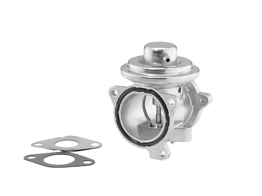 Zawór EGR BORGWARNER (WAHLER) 7271D/1