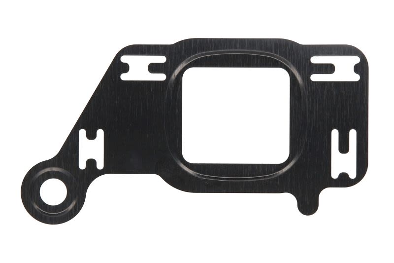 Uszczelka odmy ELRING 719.750