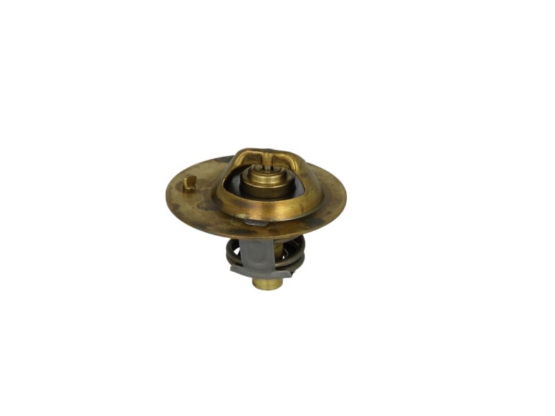 Termostat WAHLER 3119.88