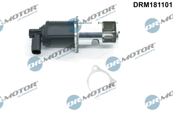 Zawór EGR DR.MOTOR AUTOMOTIVE DRM181101