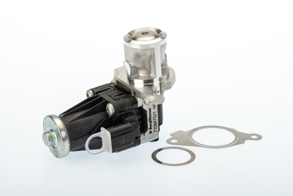 Zawór EGR BORGWARNER (WAHLER) 710947D/1