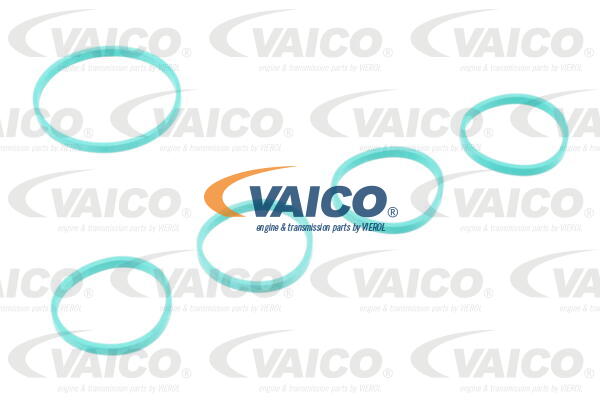 VAICO V10-5427