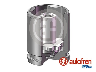 Tłoczek zacisku hamulcowego AUTOFREN SEINSA D025543K