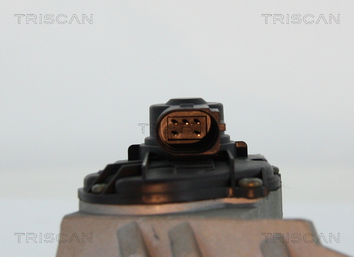 Zawór EGR TRISCAN 8813 29047
