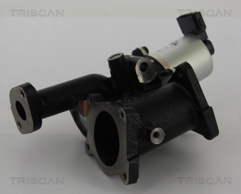 Zawór EGR TRISCAN 8813 24101